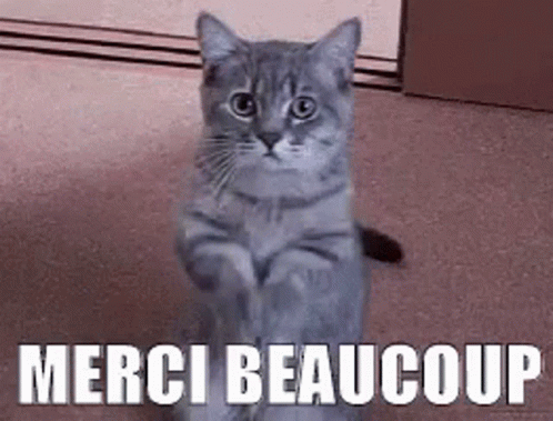Merci Beaucoup Thank You So Much GIF - Merci Beaucoup Thank You So Much Cat GIFs