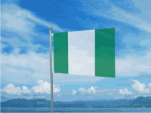 Nigeria Flag GIF - Nigeria Flag Flag Waver GIFs