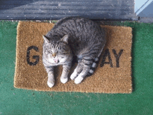 a cat is laying on a welcome mat that says gray