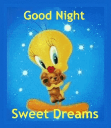 good night cute tweety bird sweet dreams