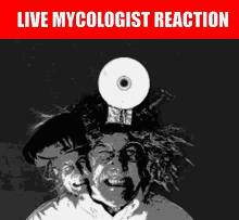 Mycologist Inscryption GIF - Mycologist Inscryption Live Reaction GIFs