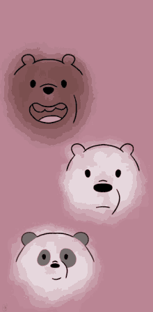 Bare Bears GIF - Bare Bears GIFs