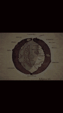 a drawing of a circle with the words " why you meme " in the middle
