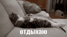 отдыхаю отдых расслабляюсь кот сплю GIF