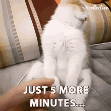 Just Five More Minutes Sleepy GIF - Just Five More Minutes Sleepy Tired GIFs