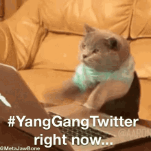 Typing Texting GIF - Typing Texting Yang Gang GIFs