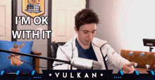 Im Ok With It Isaac Grindinger GIF - Im Ok With It Isaac Grindinger Vulkan Gaming GIFs