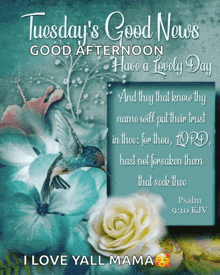 a poster that says tuesday 's good news good afternoon has a lovely day