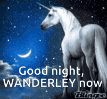 Good Night Wanderley Now Wanderley GIF - Good Night Wanderley Now Good Night Good Night Wanderley GIFs