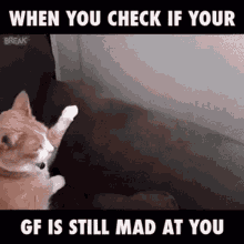 Mad Are GIF