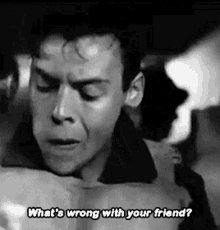 Harry Styles Dunkirk GIF - Harry Styles Dunkirk Whats Wrong With Your Friend GIFs