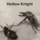 Hollow Knight Hollow Knight Bugs GIF