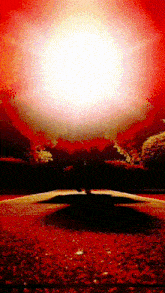 the sun is shining brightly in the sky above a road