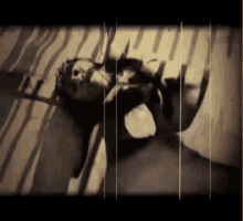 Remy Ma Arms Wide Open GIF - Remy Ma Arms Wide Open Papoose GIFs