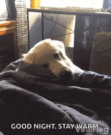 Hiding Under Covers Tired GIF - Hiding Under Covers Tired Sleepy GIFs