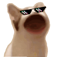 a cat wearing sunglasses has its mouth open and looks up
