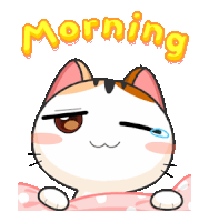a cat is laying under a pink polka dot blanket