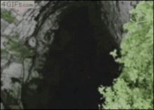 Falling Down The Cliff But In Reverse GIF - Falling Down The Cliff But In Reverse GIFs