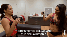 The Bella Twins Brie Bella GIF - The Bella Twins Brie Bella Nikki Bella GIFs