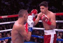 Boxing Knock Out GIF