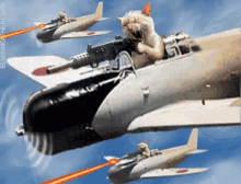 Air Force Cat GIF - Air Force Cat Gun GIFs