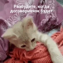 a kitten is laying on a bed with a pile of yarn .