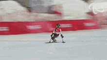 skiing alpine skiing anna lena foster germany paralympics