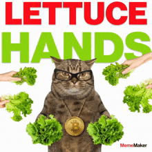 Meme Maker Mememaker GIF - Meme Maker Mememaker Lettuce Hands GIFs