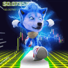 Sonic Doge GIF - Sonic Doge Sonicdoge GIFs