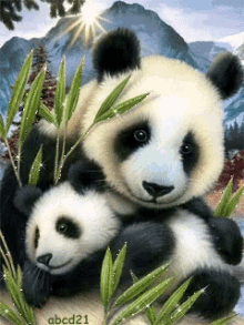 Love Panda GIF - Love Panda Baby GIFs