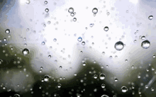 Raindrops Frozen GIF - Raindrops Rain Frozen GIFs