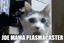 Joe Mama Plasmacaster Cat GIF - Joe Mama Plasmacaster Cat Cute GIFs