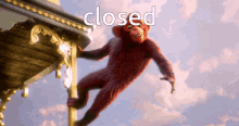Monkey Closed GIF - Monkey Closed Open GIFs