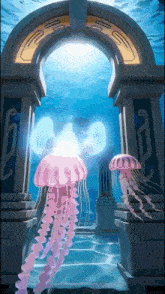 a couple of pink jellyfish are swimming in the water