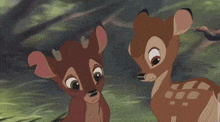 Bully Ronno Bambi 2 GIF