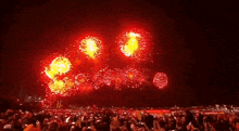 a crowd of people watching fireworks in the night sky