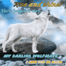 good morning good morning images good morning quotes wolf wolf pack