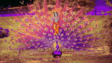 Jai Sh Krishna Peacock GIF - Jai Sh Krishna Peacock Changing Colors GIFs