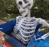 Skull Skeleton GIF - Skull Skeleton GIFs