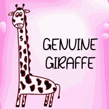 Genuine Giraffe Veefriends GIF - Genuine Giraffe Veefriends Real GIFs