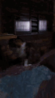 a blurry picture of a person walking down a hallway in a dark room .