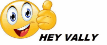 Vally Valerie GIF - Vally Valerie Val GIFs