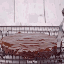 a chocolate cake on a cooling rack with easy plus in the corner