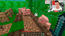 Pig Killed GIF - Pig Killed Strike GIFs