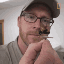 Bee Sample Have A Look GIF - Bee Sample Have A Look Inspecting Bee Sample GIFs