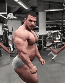 GIF