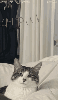 How Confused GIF - How Confused Huh GIFs