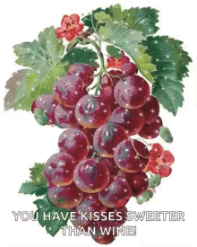 Grapes You Have Kisses Sweeter Than Wine GIF