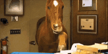 Horse Working GIF - Horse Working Office GIFs