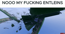 a screenshot of a game with the words nooo my fucking entleins